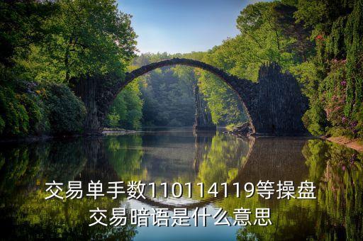 119是什么盤口暗號(hào)，交易單手?jǐn)?shù)110114119等操盤交易暗語(yǔ)是什么意思