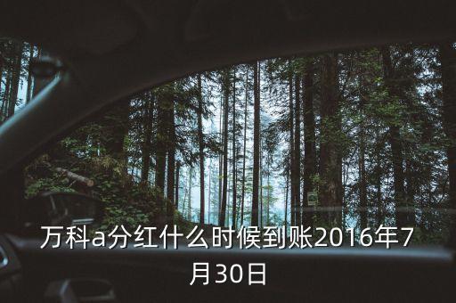 利君2016年的分紅什么時(shí)候到帳，2016年十二月以后垮行轉(zhuǎn)賬最遲多久到帳