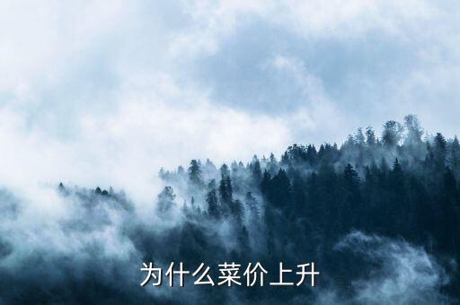 為什么菜價飛漲，菜價上漲的原因是什么
