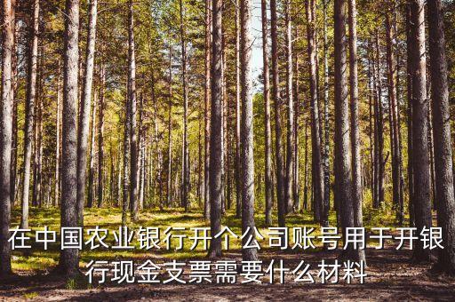在中國農(nóng)業(yè)銀行開個(gè)公司賬號用于開銀行現(xiàn)金支票需要什么材料