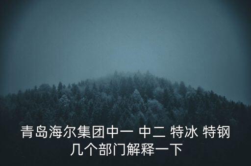海爾內(nèi)銷(xiāo)是什么意思，有帶鎖的冰箱么冷藏冷凍功能都要有的謝謝