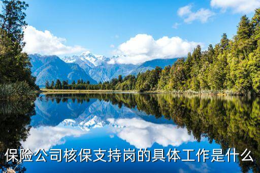 保險(xiǎn)公司核保運(yùn)營(yíng)崗需要做些什么，保險(xiǎn)公司核保支持崗的具體工作是什么