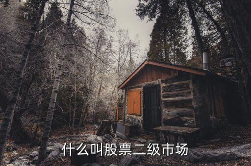 在二級市場買的股票有什么，二級市場上交易的股票