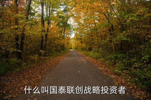 國航為什么選擇國泰作戰(zhàn)略投資者，什么叫國泰聯(lián)創(chuàng)戰(zhàn)略投資者