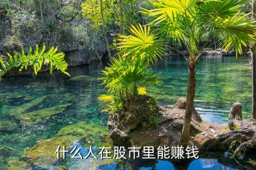 股市中什么人能賺到錢，目前在股市上賺錢的是些什么人