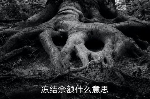 建設(shè)銀行凍結(jié)余額是什么意思，凍結(jié)余額什么意思