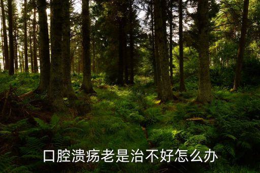 云南咖啡豆在什么時候采摘，云南小?？Х仍趺闯砸髥?/></a></span><span id=