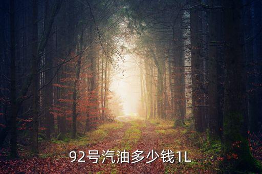 92號汽油什么價，92汽油價格