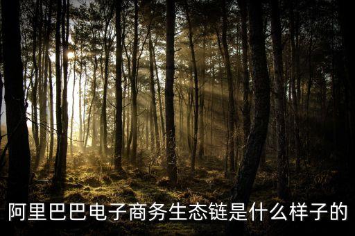 阿里巴巴電子商務生態(tài)鏈是什么樣子的