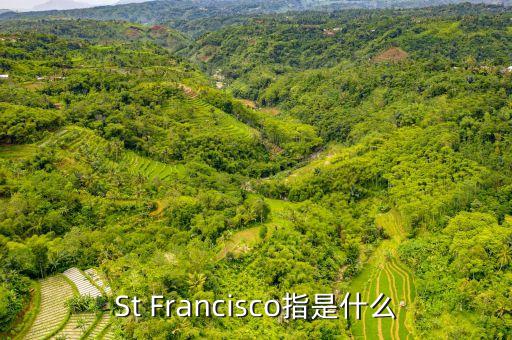 st戰(zhàn)略是什么，ST戰(zhàn)略是什么意思