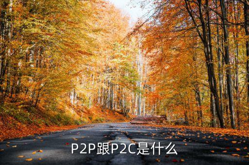 p2c平臺(tái)是什么，什么是P2P什么是P2C
