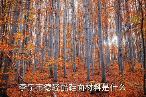 主角鋁材什么價格，沉默是金 議論文 求材料