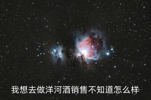 洋河業(yè)務(wù)員做什么，我想去做洋河酒銷(xiāo)售不知道怎么樣