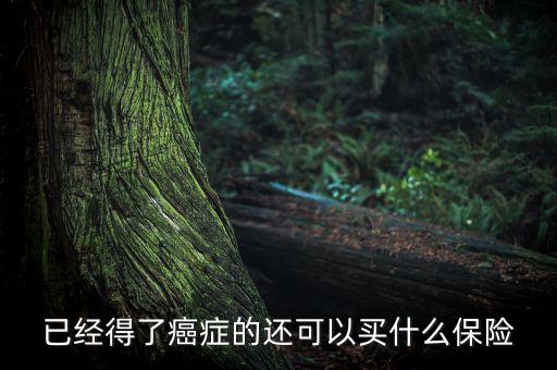 癌癥病人能買(mǎi)什么險(xiǎn)，癌癥患者能參加什么保險(xiǎn)