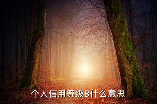 征信報告b級什么意思，中國人民銀行信用卡信用報告B級綜和評分837分啥意思