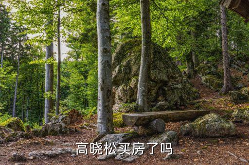 高曉松為什么不買房，高曉松買房了嗎