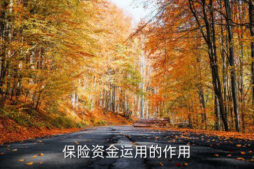 保險(xiǎn)資金運(yùn)用余額什么意思，保險(xiǎn)每年的資金運(yùn)用余額具體是什么
