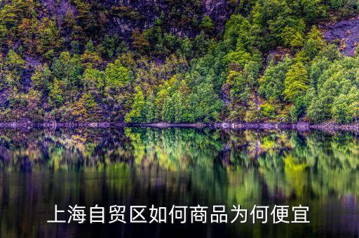 上海自貿(mào)區(qū)買什么便宜，上海購(gòu)物什么商品比較便宜