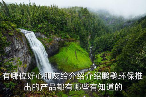 鵬鷂環(huán)保什么時(shí)候上市，我姑姑很想要了解鵬鷂環(huán)保推出的產(chǎn)品都有哪些有知道的么