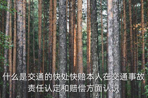車險(xiǎn)快賠是什么，汽車快賠是什么意思