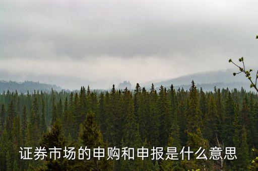 金融行業(yè)中的逐日申報是什么意思，外貿(mào)中到到銀行申報是什么意思申報什么呢哪位高人指點一下謝