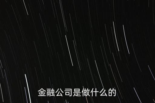 美國住宅金融公司是干什么的，房地美和房利美在美國算什么性質(zhì)的金融機構(gòu)