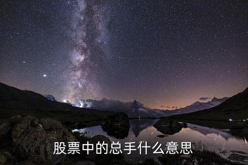 個股總手是什么意思，股票中的總手什么意思