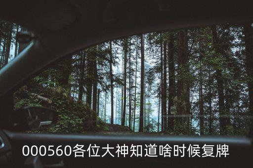 茂碩電源什么時間復牌，今天茂碩電源002660怎么停牌了什么時候開盤