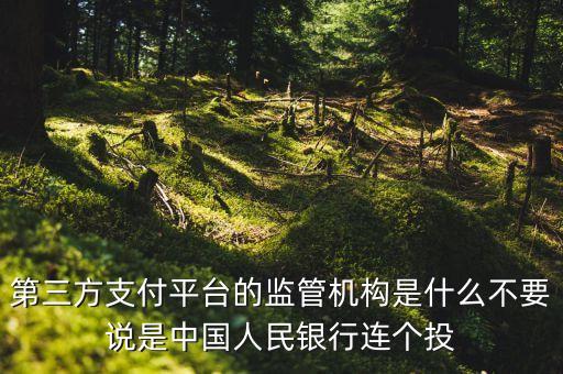 第三方支付平臺由什么機構(gòu)授權(quán)，第三方支付平臺的監(jiān)管機構(gòu)是什么不要說是中國人民銀行連個投