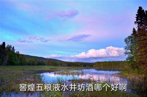 水井坊的高端品牌是什么，水井坊在哪買的好
