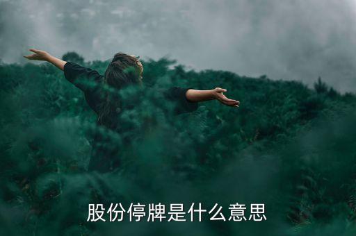 鞍重股份停牌是什么意思，鞍重股份為什么停牌