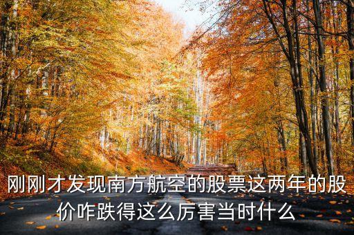 南航美股是什么意識，海南航空股票前帶lr300什么意思