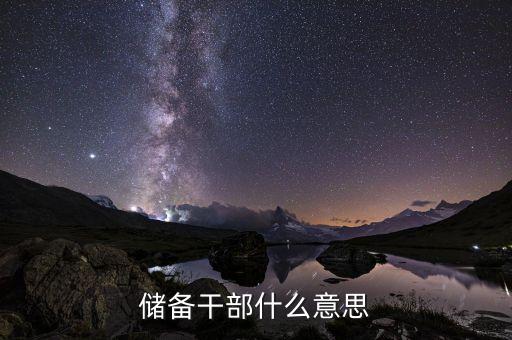 溫州金龍機(jī)電儲(chǔ)備干部什么意思，儲(chǔ)備干部什么意思