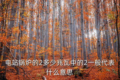 電站兆瓦什么意思，兆瓦是哪一個(gè)物理量的單位發(fā)電能力達(dá)45兆瓦說明什么意思