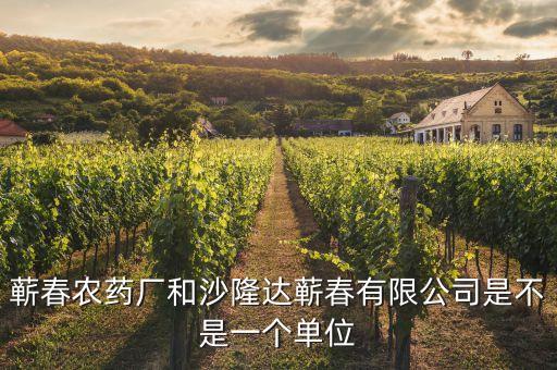 蘄春汪潮涌投資了什么，蘄春農(nóng)藥廠和沙隆達(dá)蘄春有限公司是不是一個單位