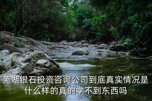 伯威控股是什么，威凌控股公司是做什么的