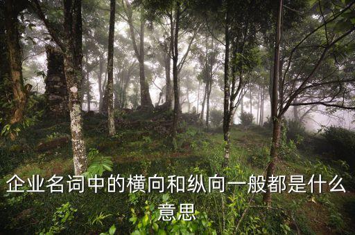 什么是企業(yè)橫向發(fā)展，什么是橫向一體化