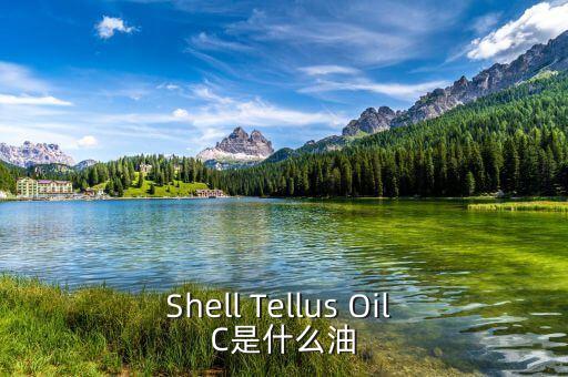 權(quán)益油是什么，Shell Tellus Oil C是什么油