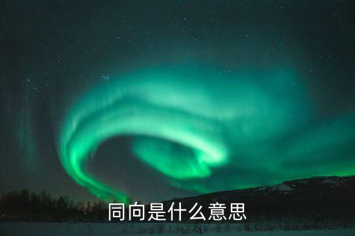 什么是同向交易，什么叫同向