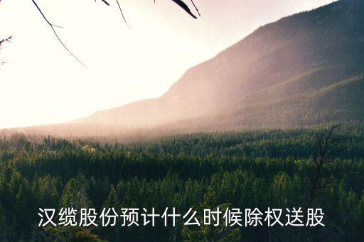 漢纜股份什么時(shí)候除權(quán)，除權(quán)日期是什么時(shí)候