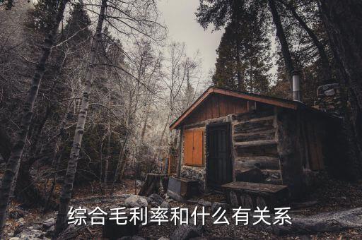 什么是綜合毛利，綜合毛利率和什么有關(guān)系