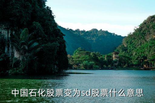 sd股票是什么意思，中國(guó)石化股票變?yōu)閟d股票什么意思