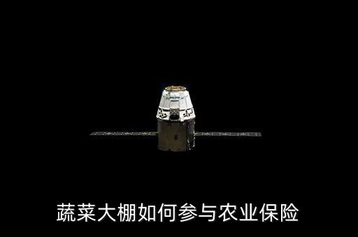 種大棚買保險(xiǎn)陪什么，蔬菜大棚入保險(xiǎn)請問入哪一類保險(xiǎn)