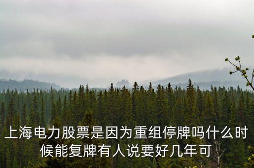 上海電氣什么時間復(fù)牌，上海電力股票是因為重組停牌嗎什么時候能復(fù)牌有人說要好幾年可