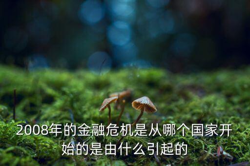 這一次的金融危機(jī)發(fā)端于什么，請(qǐng)問這次金融風(fēng)暴的起始是什么樣的具體的原因