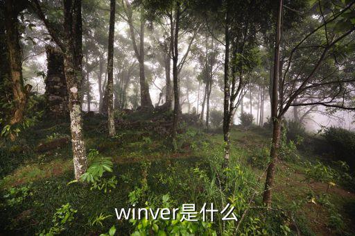 什么是出口導(dǎo)向戰(zhàn)略，相符交單是什么