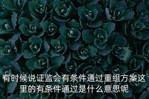 重組項(xiàng)目過(guò)會(huì)是什么意思，資產(chǎn)重組獲股東大會(huì)高票通過(guò)什么意思