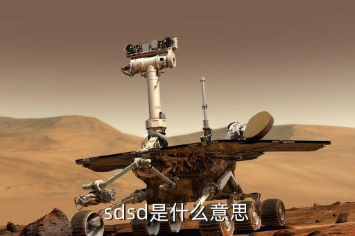 sdds是什么，sddsupdate v1001 是什么