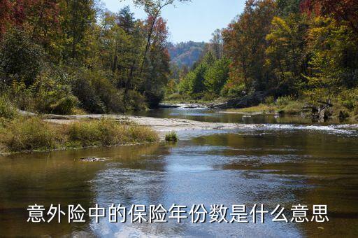 保險(xiǎn)數(shù)目指什么，意外險(xiǎn)中的保險(xiǎn)年份數(shù)是什么意思