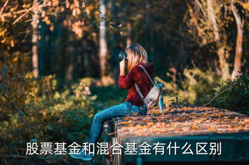 混合基金和股票基金有什么區(qū)別，混合基金和股票基金的區(qū)別在哪